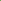 Buy Trees and Shrubs Online -Northern Pecan Tree (2-3 Foot) - Northern Ridge Nursery