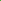 Buy Trees and Shrubs Online -Northern Spicebush (18-24 Inches) - Northern Ridge Nursery
