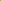 Paper White Birch Tree (3 Pack) - Northern Ridge Nursery