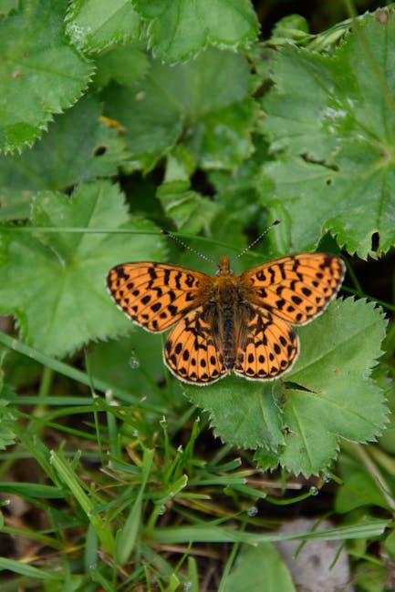 How to Create Thriving Pollinator Gardens with Native Plants