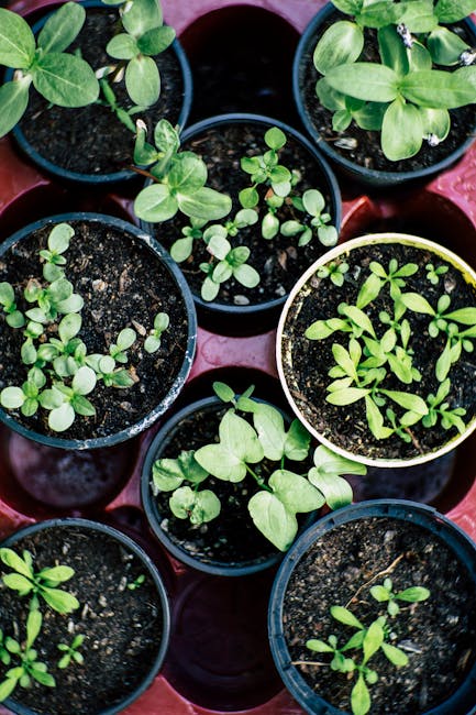Vertical Gardening: Maximize Space & Beauty in Small Areas!