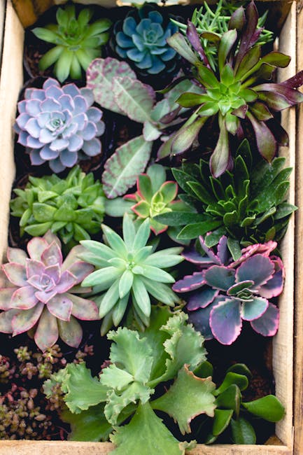 Ultimate Guide to Container Gardening: Tips & Tricks for 2023