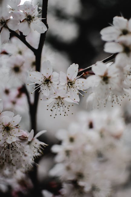 Transform Your Yard: Create a Captivating Scent Garden!