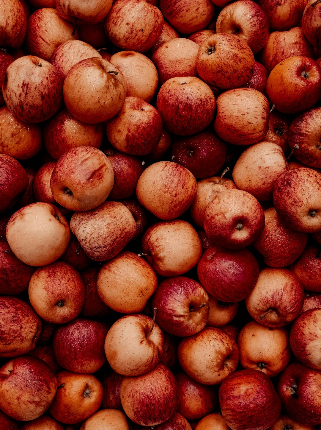 Apple Trees