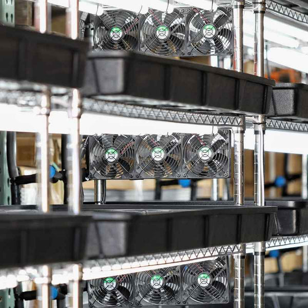 Grow Rack - Automated Vertical Propagation Rack