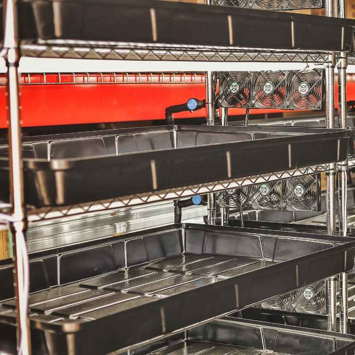 Grow Rack - Automated Vertical Propagation Rack – Northern Ridge Nursery