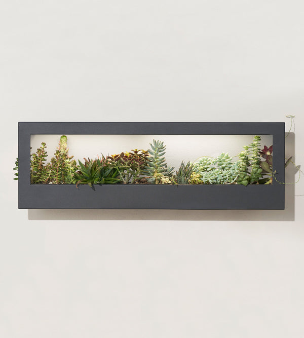 Smart Landscape Growframe