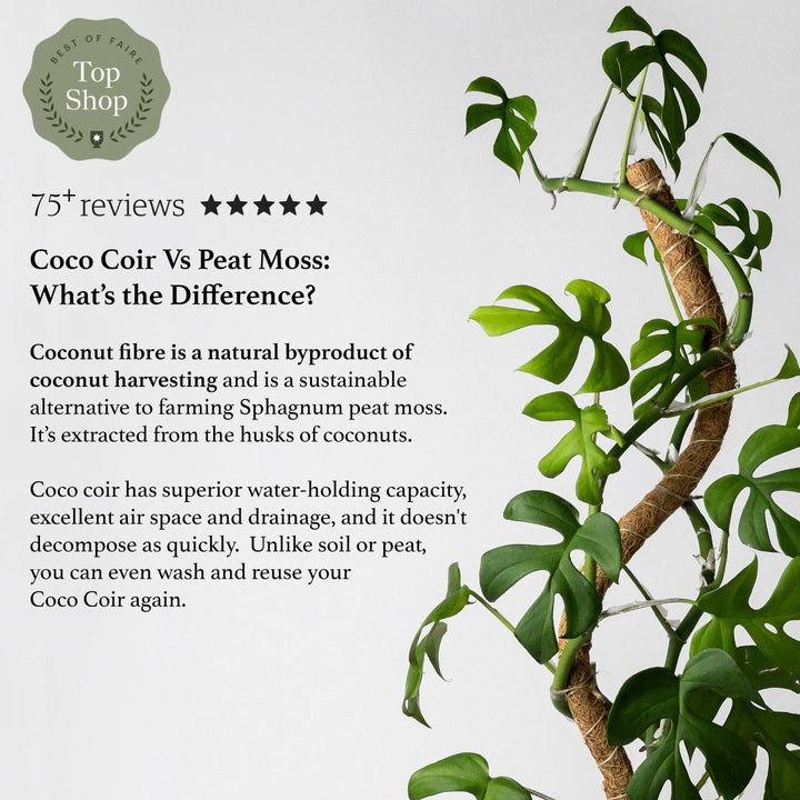 coco coir vs sphagnum moss pole Bendable & Stackable Coco Coir Pole: Support for Climbing Plants – Northern Ridge Nursery