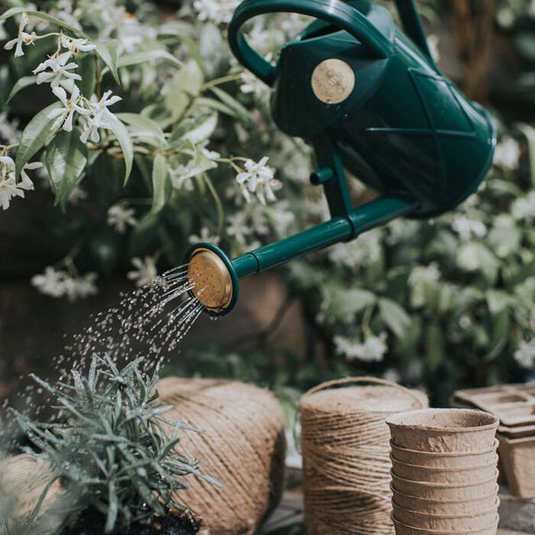 Haws Bartley Burbler - Watering Can