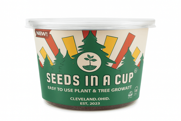 White Birch Tree | Seed Starter Grow Kit | Seeds In A Cup®